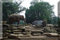 Het Noorderdierenpark in Emmen